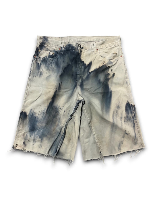 MAD 'Nebula' JORTS [1 of 1]